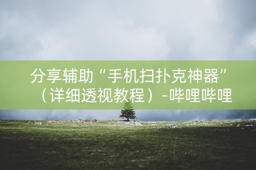 分享辅助“手机扫扑克神器”（详细透视教程）-哔哩哔哩