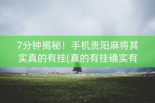 7分钟揭秘！手机贵阳麻将其实真的有挂(真的有挂确实有挂)