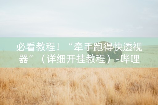 必看教程！“牵手跑得快透视器”（详细开挂教程）-哔哩哔哩
