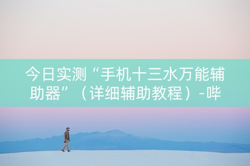 今日实测“手机十三水万能辅助器”（详细辅助教程）-哔哩哔哩