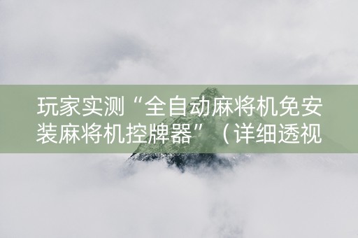 玩家实测“全自动麻将机免安装麻将机控牌器”（详细透视教程）-哔哩哔哩