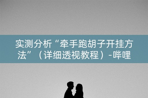 实测分析“牵手跑胡子开挂方法”（详细透视教程）-哔哩哔哩