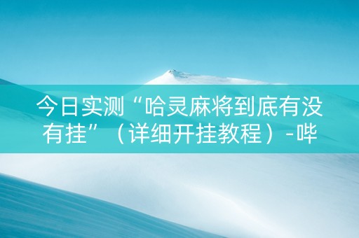今日实测“哈灵麻将到底有没有挂”（详细开挂教程）-哔哩哔哩