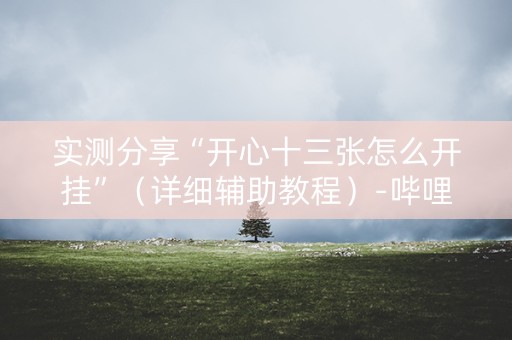 实测分享“开心十三张怎么开挂”（详细辅助教程）-哔哩哔哩