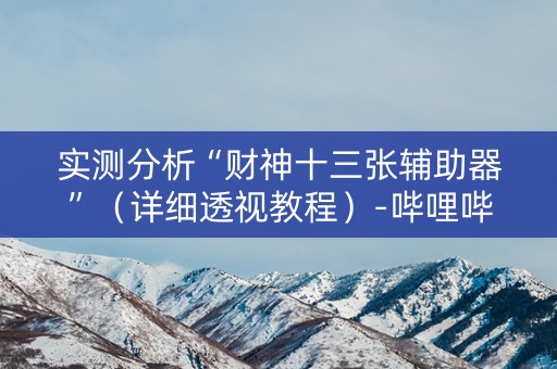 实测分析“财神十三张辅助器”（详细透视教程）-哔哩哔哩
