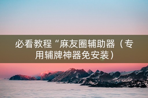 必看教程“麻友圈辅助器（专用辅牌神器免安装）