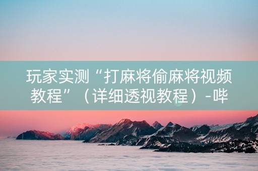 玩家实测“打麻将偷麻将视频教程”（详细透视教程）-哔哩哔哩