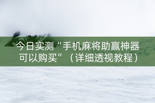 今日实测“手机麻将助赢神器可以购买”（详细透视教程）-哔哩哔哩