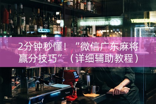 2分钟秒懂！“微信广东麻将赢分技巧”（详细辅助教程）-哔哩哔哩