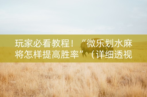 玩家必看教程！“微乐划水麻将怎样提高胜率”（详细透视教程）-哔哩哔哩