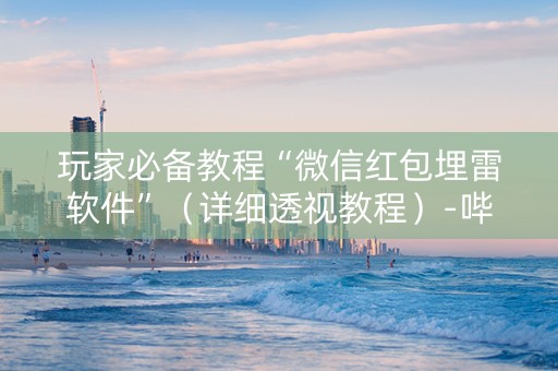 玩家必备教程“微信红包埋雷软件”（详细透视教程）-哔哩哔哩