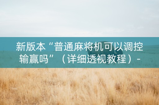 新版本“普通麻将机可以调控输赢吗”（详细透视教程）-哔哩哔哩