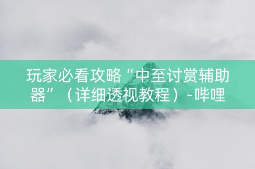 玩家必看攻略“中至讨赏辅助器”（详细透视教程）-哔哩哔哩