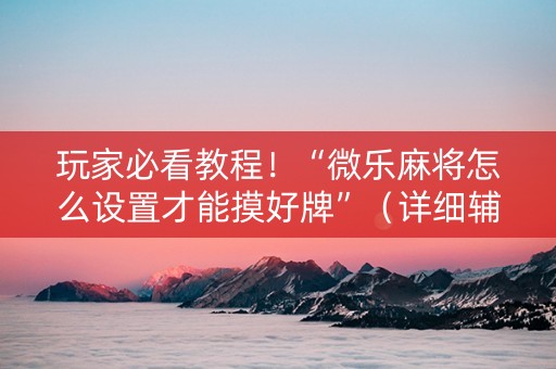 玩家必看教程！“微乐麻将怎么设置才能摸好牌”（详细辅助教程）-哔哩哔哩