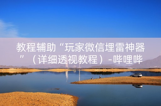教程辅助“玩家微信埋雷神器”（详细透视教程）-哔哩哔哩