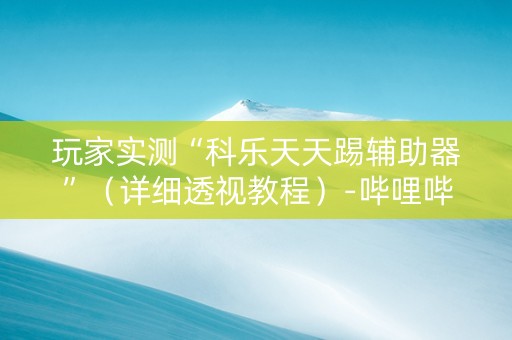 玩家实测“科乐天天踢辅助器”（详细透视教程）-哔哩哔哩