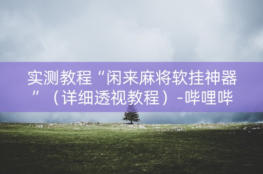实测教程“闲来麻将软挂神器”（详细透视教程）-哔哩哔哩