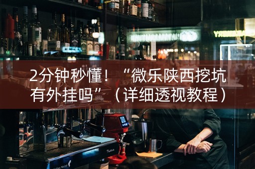 2分钟秒懂！“微乐陕西挖坑有外挂吗”（详细透视教程）-哔哩哔哩