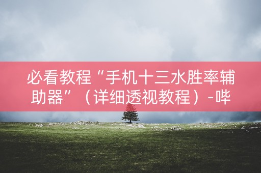 必看教程“手机十三水胜率辅助器”（详细透视教程）-哔哩哔哩