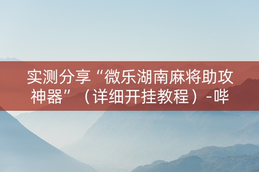实测分享“微乐湖南麻将助攻神器”（详细开挂教程）-哔哩哔哩