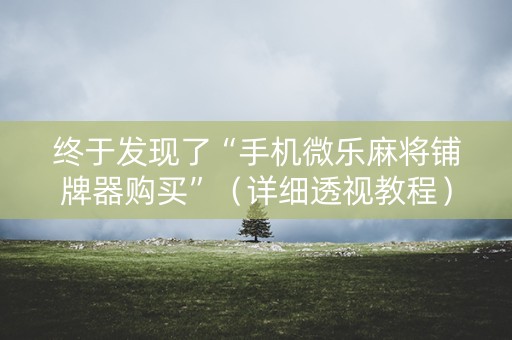 终于发现了“手机微乐麻将铺牌器购买”（详细透视教程）-哔哩哔哩
