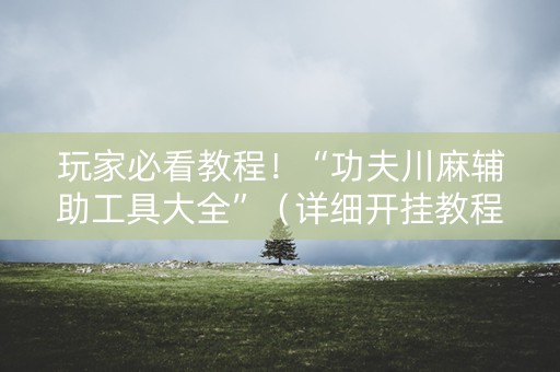 玩家必看教程！“功夫川麻辅助工具大全”（详细开挂教程）-哔哩哔哩