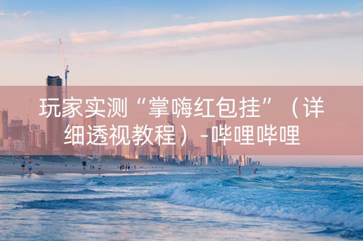 玩家实测“掌嗨红包挂”（详细透视教程）-哔哩哔哩