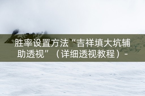 胜率设置方法“吉祥填大坑辅助透视”（详细透视教程）-哔哩哔哩