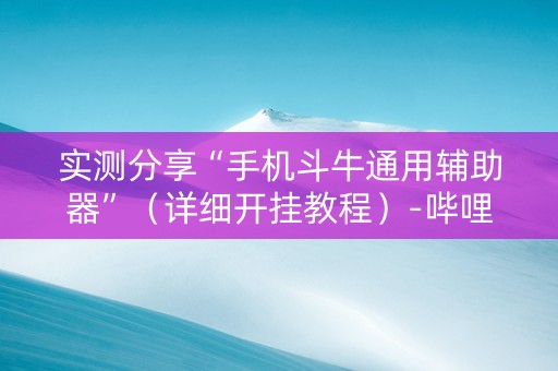 实测分享“手机斗牛通用辅助器”（详细开挂教程）-哔哩哔哩
