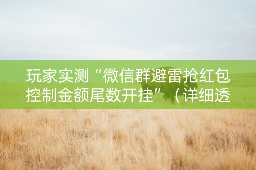 玩家实测“微信群避雷抢红包控制金额尾数开挂”（详细透视教程）-哔哩哔哩