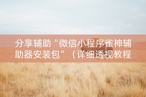 分享辅助“微信小程序雀神辅助器安装包”（详细透视教程）-哔哩哔哩
