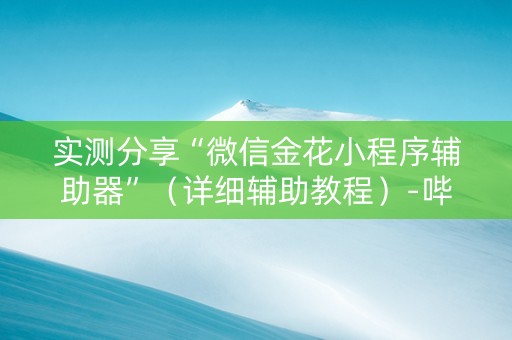 实测分享“微信金花小程序辅助器”（详细辅助教程）-哔哩哔哩