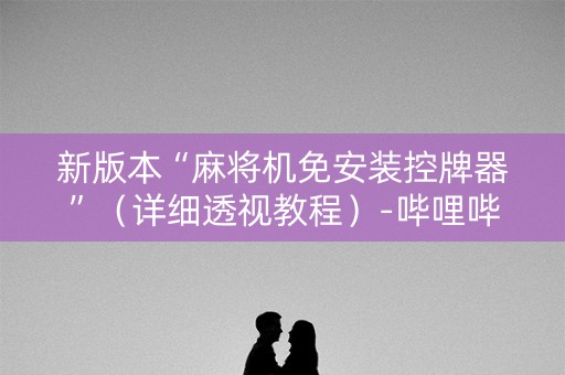 新版本“麻将机免安装控牌器”（详细透视教程）-哔哩哔哩