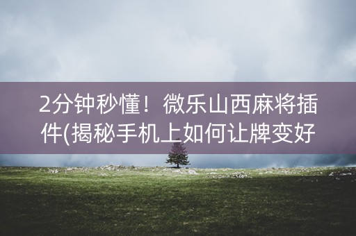 2分钟秒懂！微乐山西麻将插件(揭秘手机上如何让牌变好)