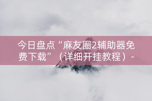 今日盘点“麻友圈2辅助器免费下载”（详细开挂教程）-哔哩哔哩