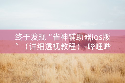 终于发现“雀神辅助器ios版”（详细透视教程）-哔哩哔哩
