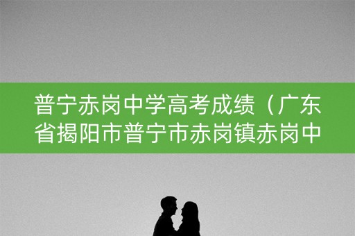 普宁赤岗中学高考成绩（广东省揭阳市普宁市赤岗镇赤岗中学）