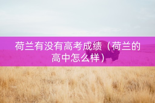 荷兰有没有高考成绩（荷兰的高中怎么样）