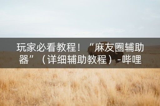 玩家必看教程！“麻友圈辅助器”（详细辅助教程）-哔哩哔哩