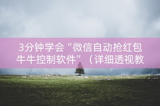 3分钟学会“微信自动抢红包牛牛控制软件”（详细透视教程）-哔哩哔哩