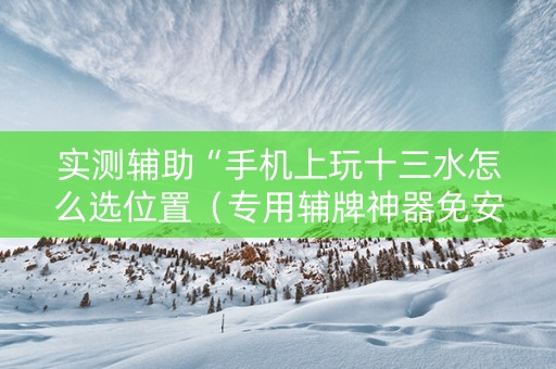 实测辅助“手机上玩十三水怎么选位置（专用辅牌神器免安装）