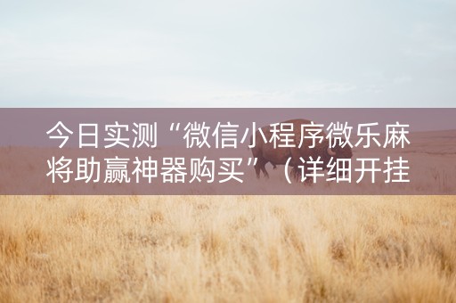 今日实测“微信小程序微乐麻将助赢神器购买”（详细开挂教程）-哔哩哔哩