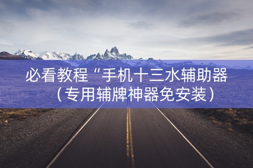 必看教程“手机十三水辅助器（专用辅牌神器免安装）