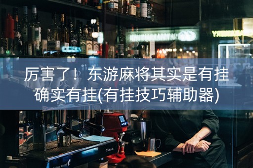 厉害了！东游麻将其实是有挂确实有挂(有挂技巧辅助器)