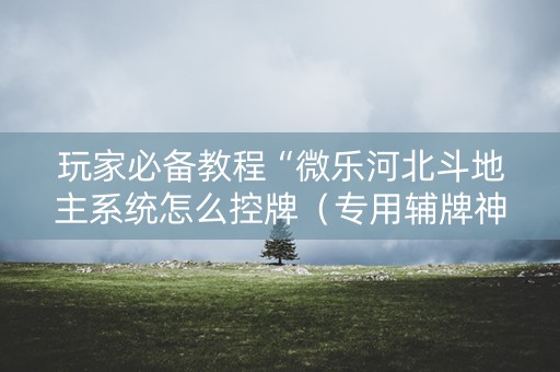 玩家必备教程“微乐河北斗地主系统怎么控牌（专用辅牌神器免安装）