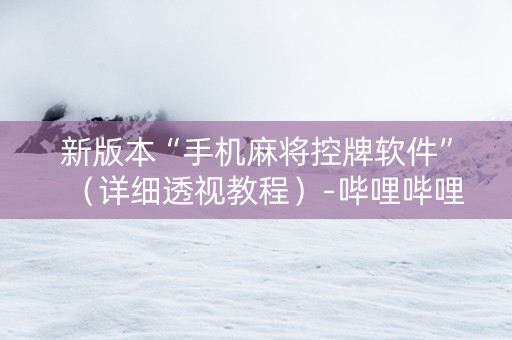 新版本“手机麻将控牌软件”（详细透视教程）-哔哩哔哩