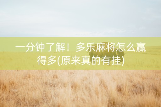 一分钟了解！多乐麻将怎么赢得多(原来真的有挂)