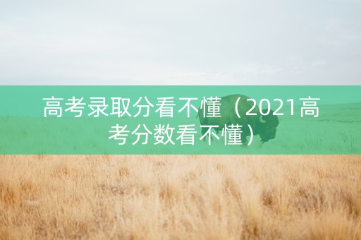高考录取分看不懂（2021高考分数看不懂）
