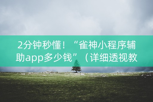 2分钟秒懂！“雀神小程序辅助app多少钱”（详细透视教程）-哔哩哔哩