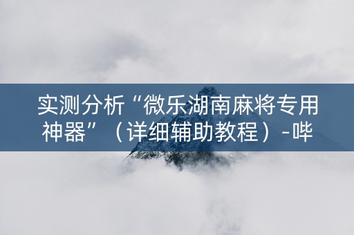 实测分析“微乐湖南麻将专用神器”（详细辅助教程）-哔哩哔哩